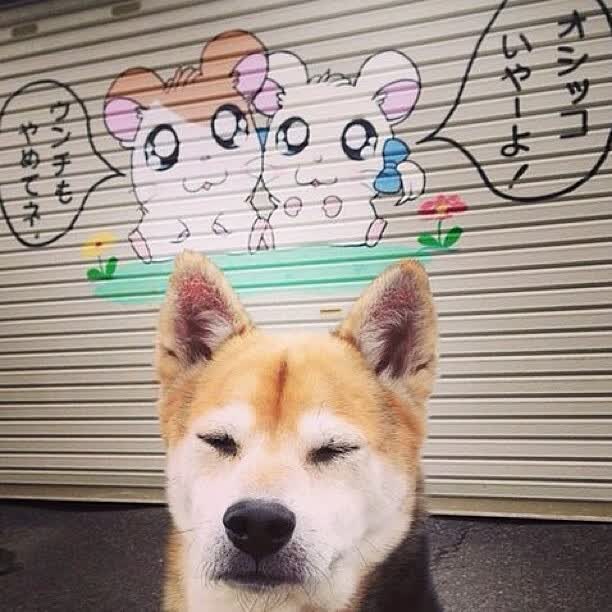 世界乒乓球俱乐部青训资金支持项目评选，世界乒乓球协会